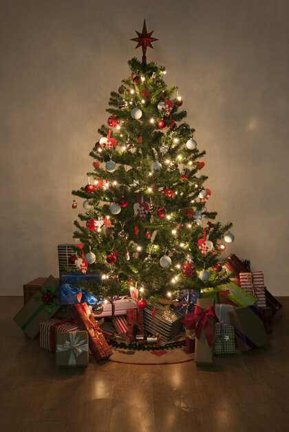 Živý vianočný stromček predaj